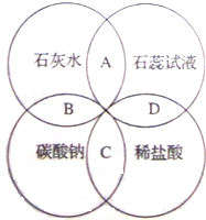 味精的化学与质量分析指南